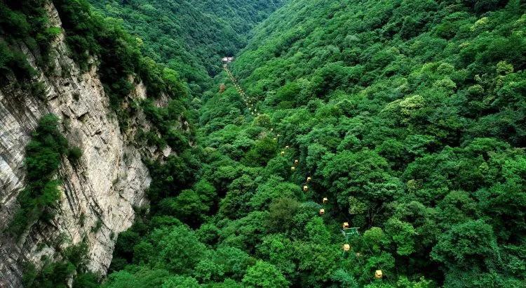 我十九岁了，我想去当兵，但是我去年九月在手臂上纹了只骷髅，怎么办？有点不想去掉！六百多块纹的啊！